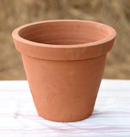 Flower Pot